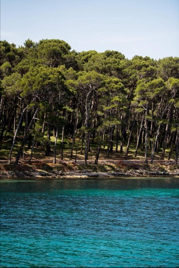 Apartments Marlen Mali Losinj Exterior photo